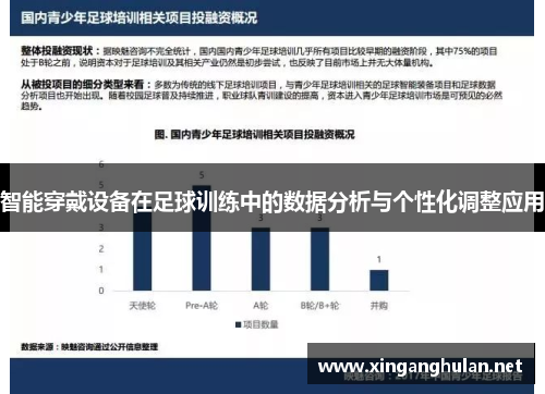 智能穿戴设备在足球训练中的数据分析与个性化调整应用